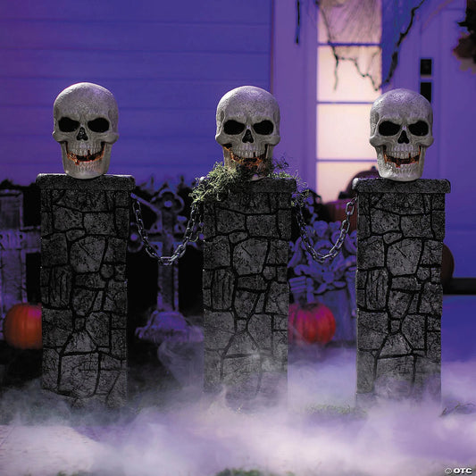 Afbeelding van Skull Fence