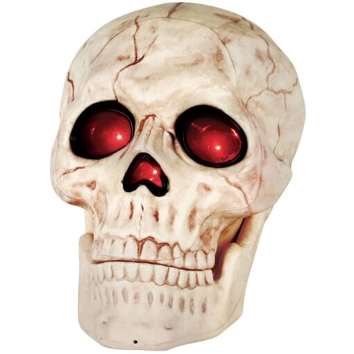 Afbeelding van Skull Xl led