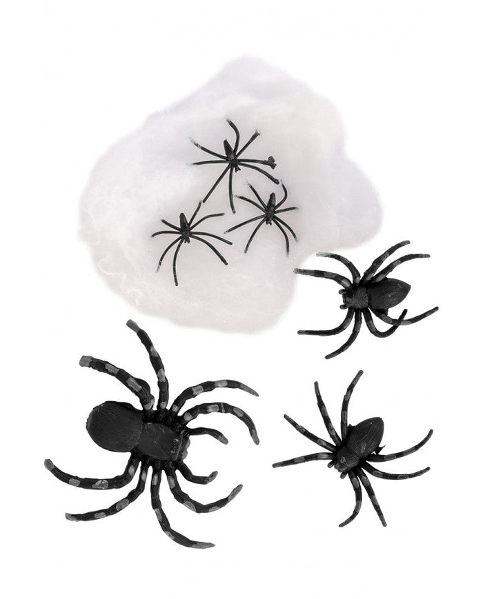 Afbeelding van Spinnenweb met 6 spinnen