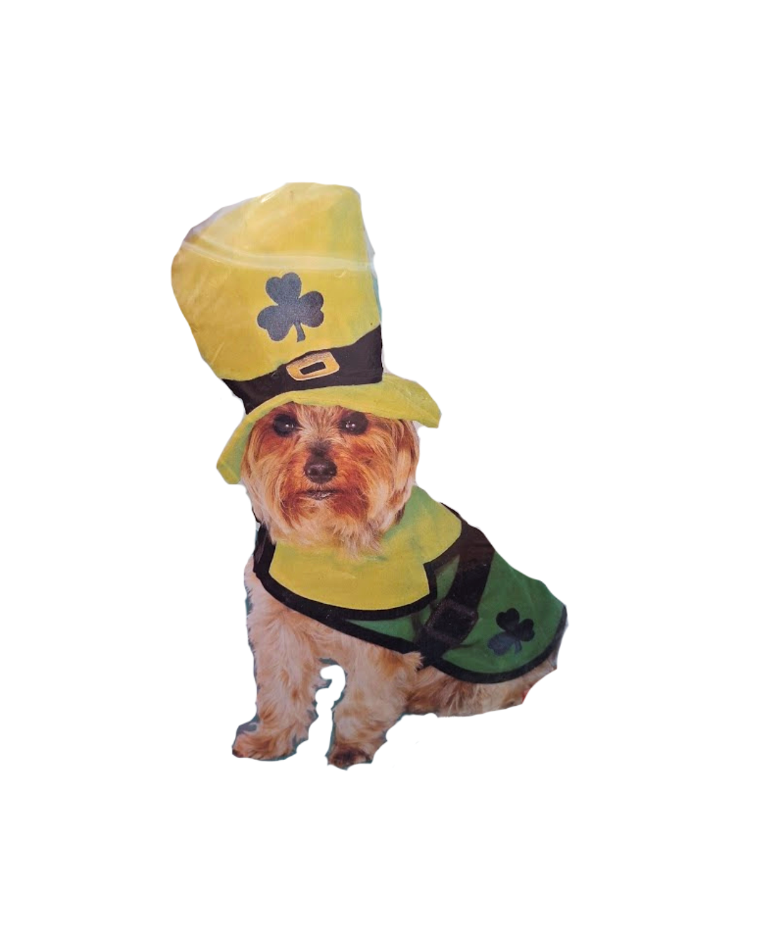 Afbeelding van St Patricks Dog Costume
