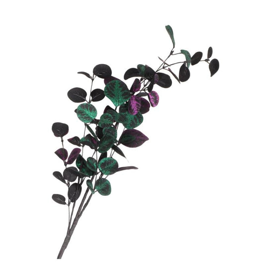 Afbeelding van Tak Eucalyptus  halloween style