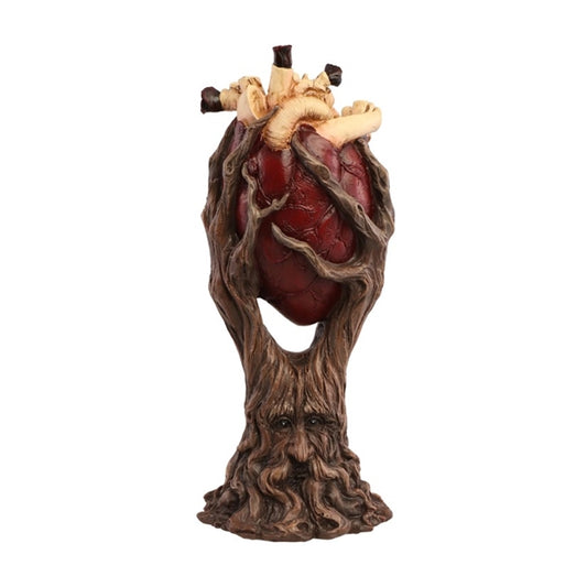 Afbeelding van The heart of the forest