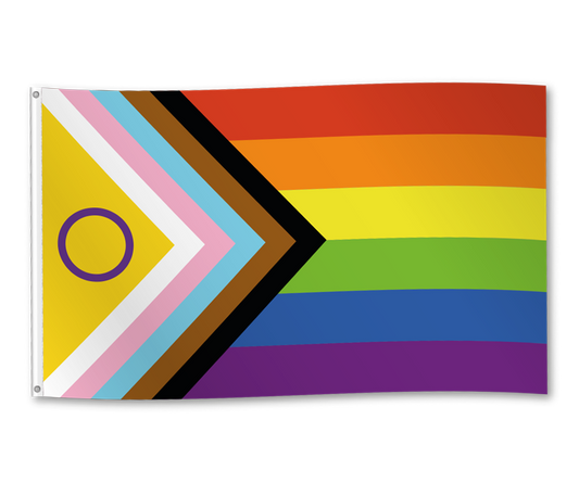 Afbeelding van Vlag Pride Intersex 90x150 cm
