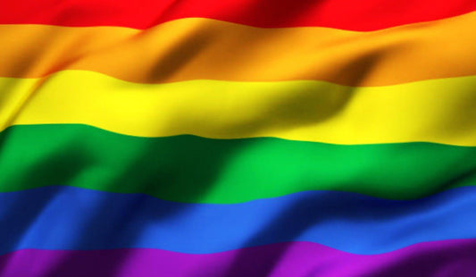 Afbeelding van Gevelvlag regenboog