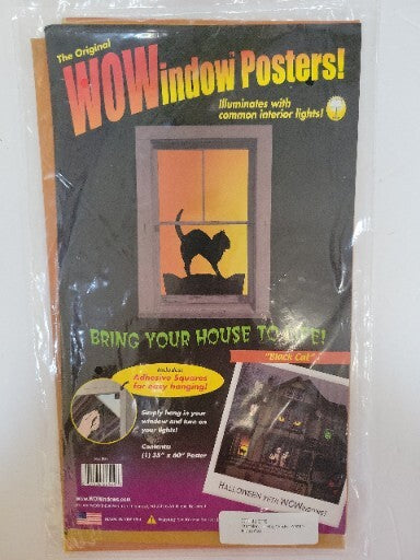 wow window Poster Kat
