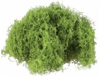 Afbeelding van Zak met groen mos 100 gr