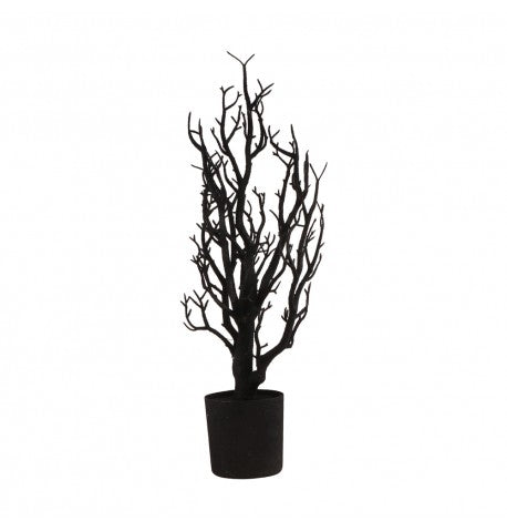 Afbeelding van Zwarte  mini boom in pot
