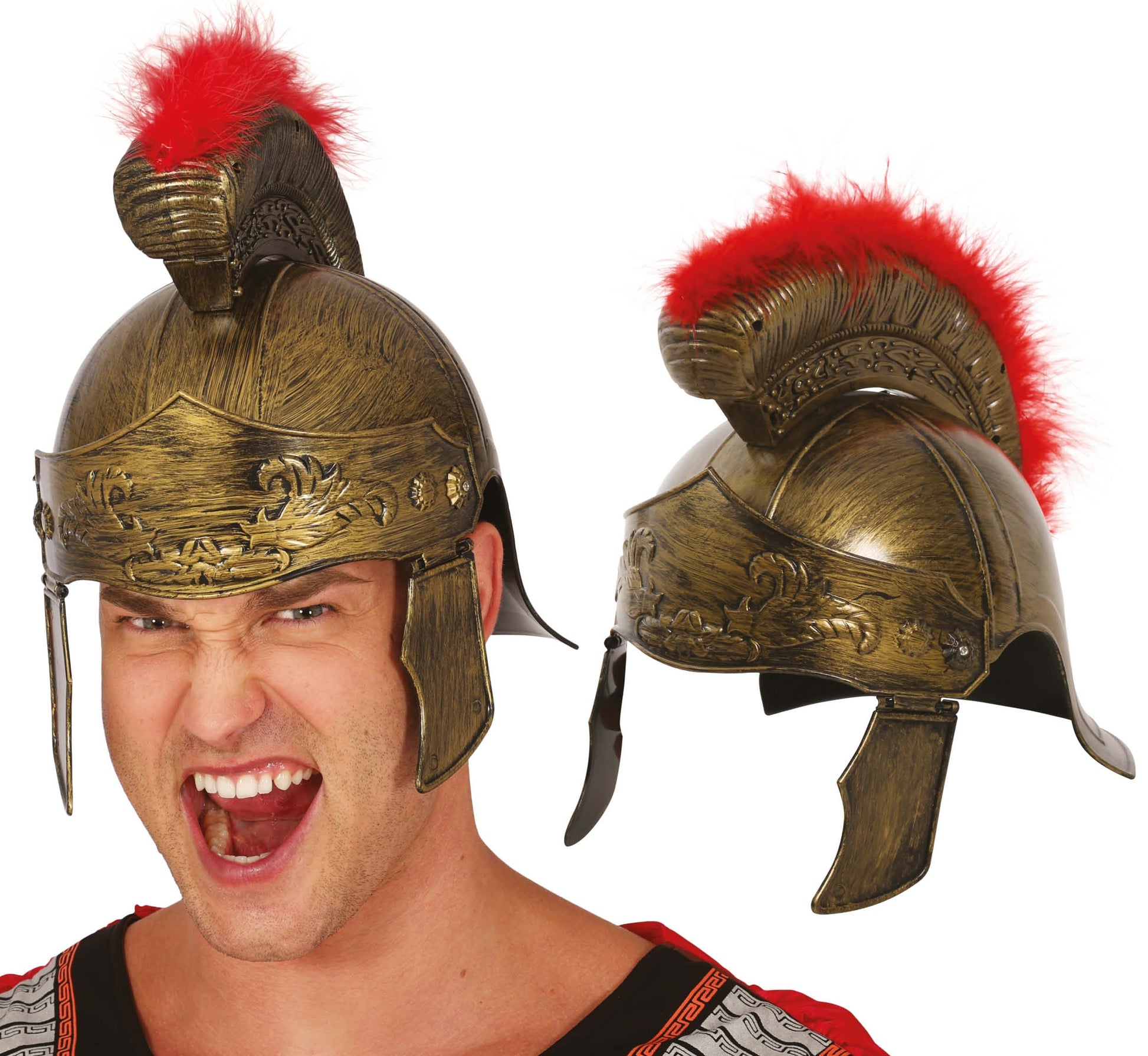 Afbeelding van Helm Romein