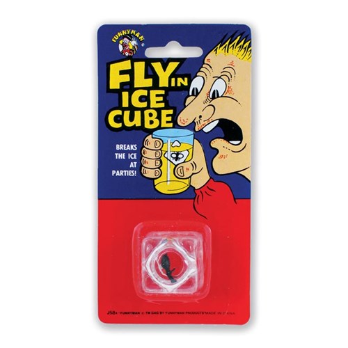 Afbeelding van IJsklontje met vlieg