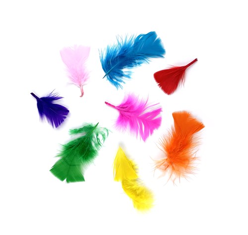Afbeelding van Pluimen klein multicolor Create-it (14gr)