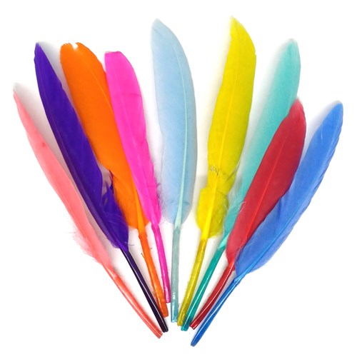 Afbeelding van Pluimen multicolor Create-it (100st)