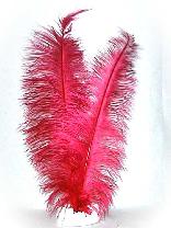 Afbeelding van Spadonis veer -rood