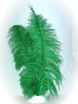 Afbeelding van Spadonis veer -groen
