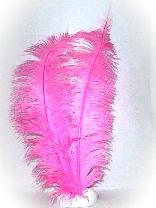 Afbeelding van Spadonis veer -roze