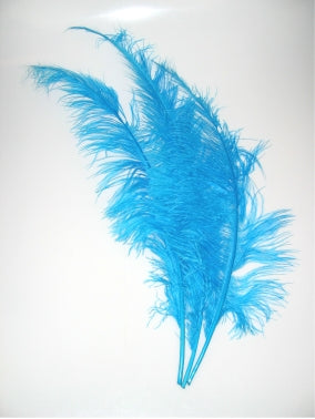 Afbeelding van Spadonis veer -turquoise