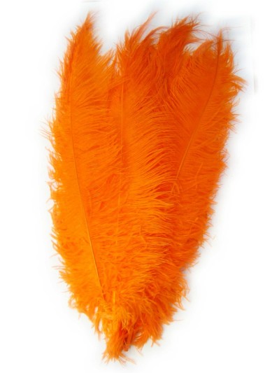 Afbeelding van Spadonis veer -oranje