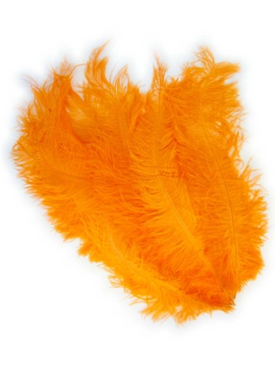 Afbeelding van Floss veer -oranje