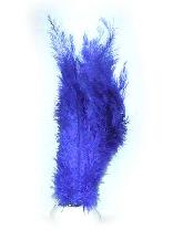 Afbeelding van Floss veer -blauw
