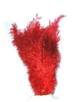 Afbeelding van Floss veer -rood