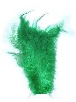 Afbeelding van Floss veer -groen