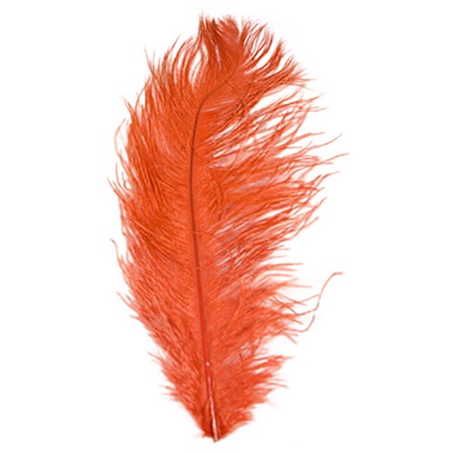 Afbeelding van Struisveer rood (40-45cm)