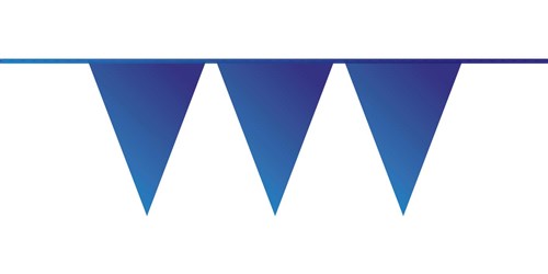 Afbeelding van Vlaggenlijn PE blauw 10 m