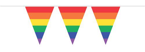 Afbeelding van Vlaggenlijn PE regenboog (10m)